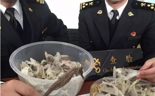 图片默认标题