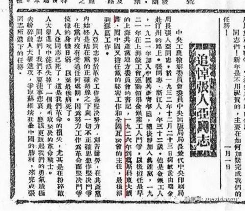 【初心在身边 红船驶进新时代】党章守护人张人亚