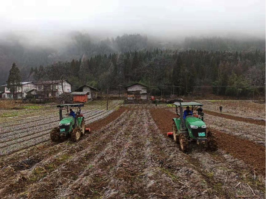 【重庆】【新春走基层】重庆太平村：合作社年终分红利 添财又添喜