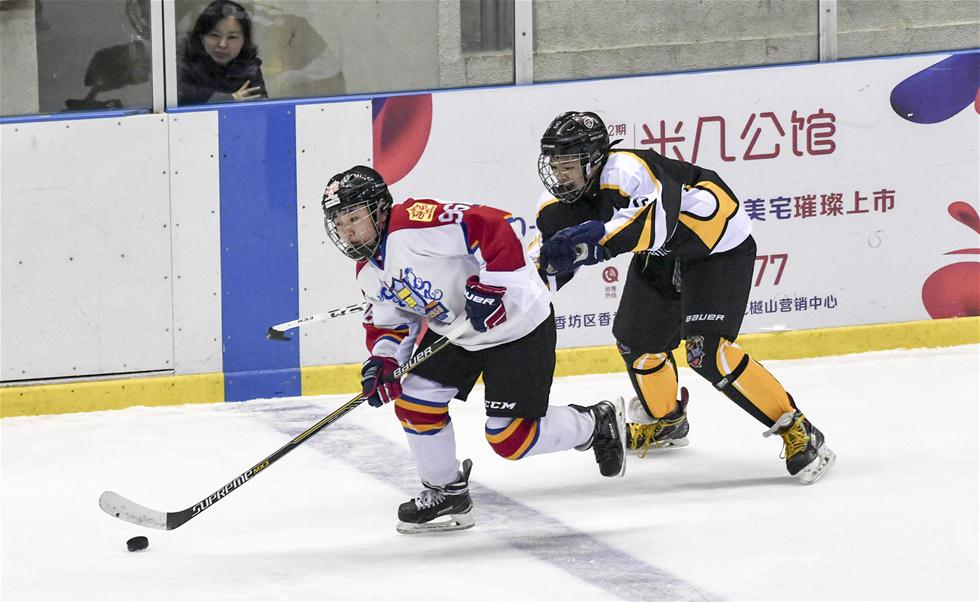 全国少儿冰球大奖赛：齐齐哈尔市雄狮冰球队夺冠