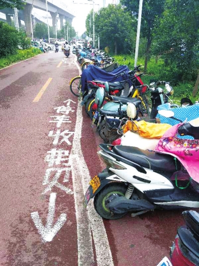 【汽车-图片】休闲之地生态廊道却成了停车场