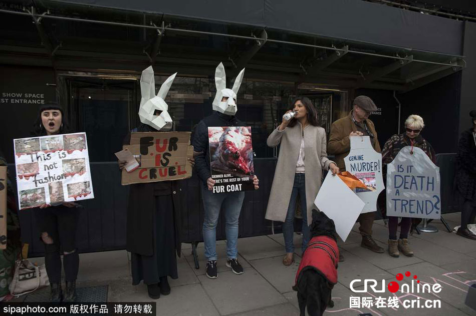 图片默认标题