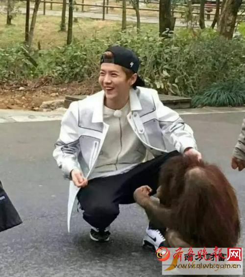《奔跑吧》第五季第一期嘉宾名单成员片酬曝光 鹿晗酬劳碾压李晨邓超
