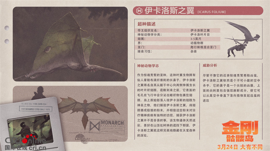 《金刚：骷髅岛》预告海报双发  群兽乱战全面升级