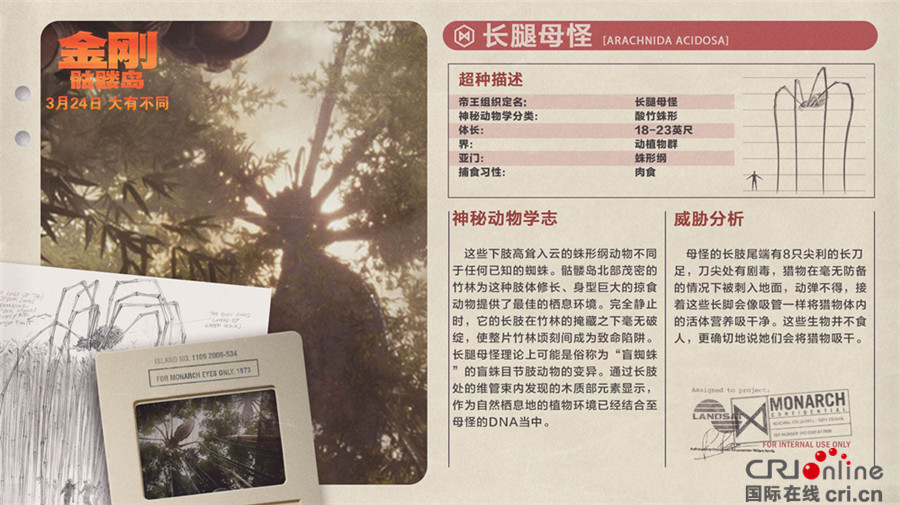 《金刚：骷髅岛》预告海报双发  群兽乱战全面升级