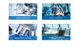 图片默认标题