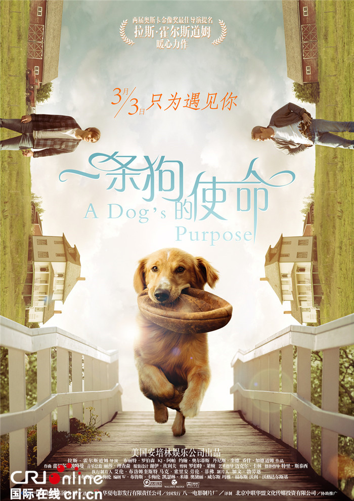 《一条狗的使命》公映 八年后一条狗再次感动全世界