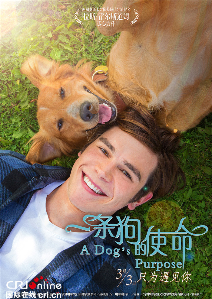 《一条狗的使命》公映 八年后一条狗再次感动全世界