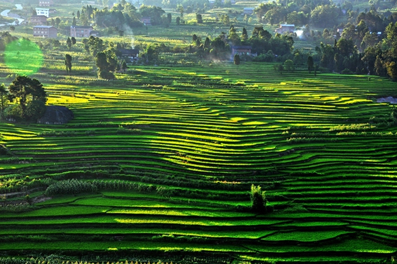 已检查【区县联动】【綦江】綦江打造山地特色旅游 推动乡村振兴战略实施【区县联动 列表】綦江打造山地特色旅游
