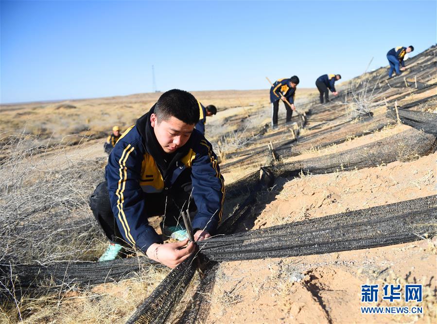 戈壁上的铁路治沙人