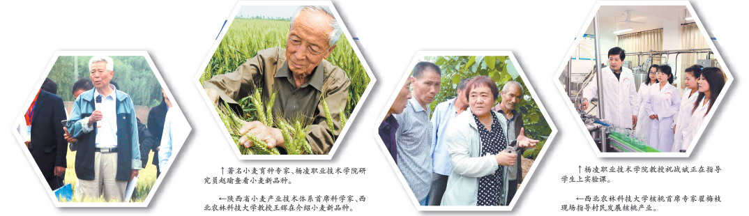 现代农科梦 绿色新杨凌
