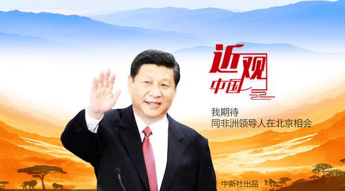 习近平非洲脚步促“龙狮共舞”