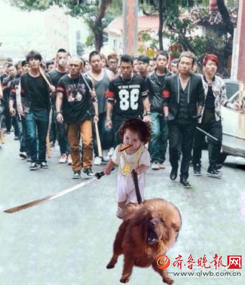 【小刚几表情包合集】这个两岁小女孩是谢飞机后的新晋国产表情包 连景甜都爱用！