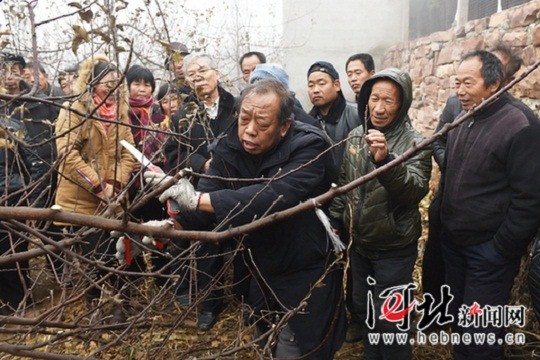 图片默认标题