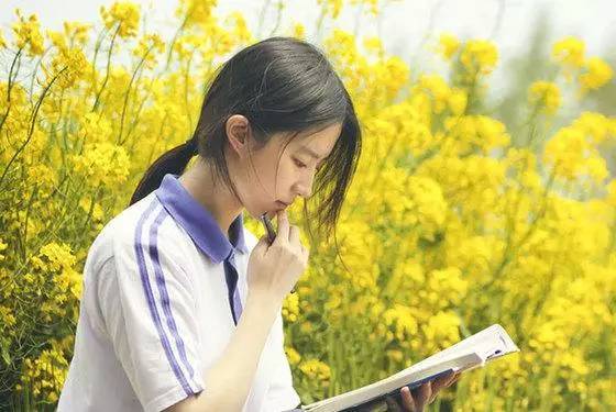 图片默认标题