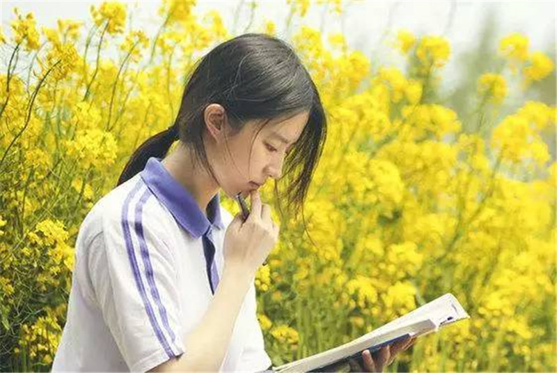 图片默认标题