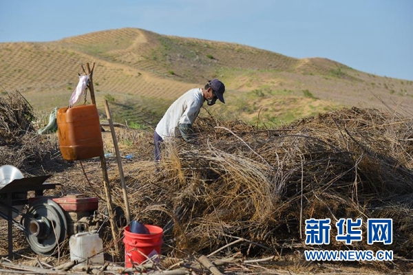 库布其首条穿沙公路　矗立在大漠的无形丰碑