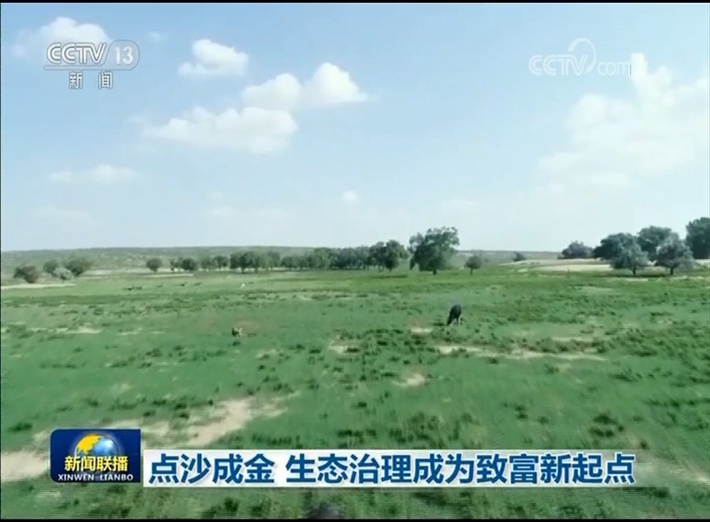 点沙成金 生态治理成为致富新起点