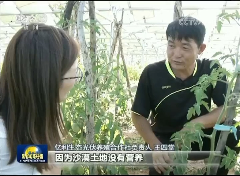 点沙成金 生态治理成为致富新起点