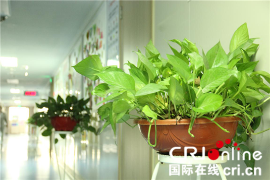 陕西省人民医院肿瘤外科：在癌细胞的“沙漠”中寻找生命的“绿洲”