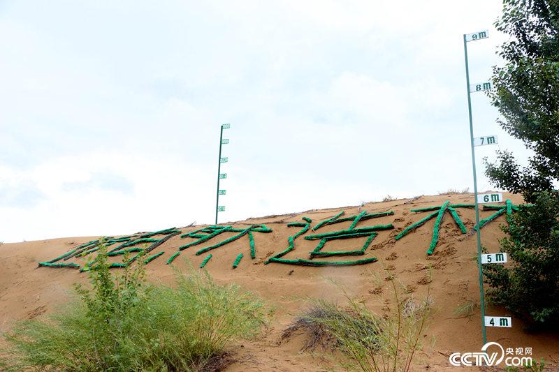 【探秘库布其】10秒种一棵树？ 库布其治沙“利器”了解一下