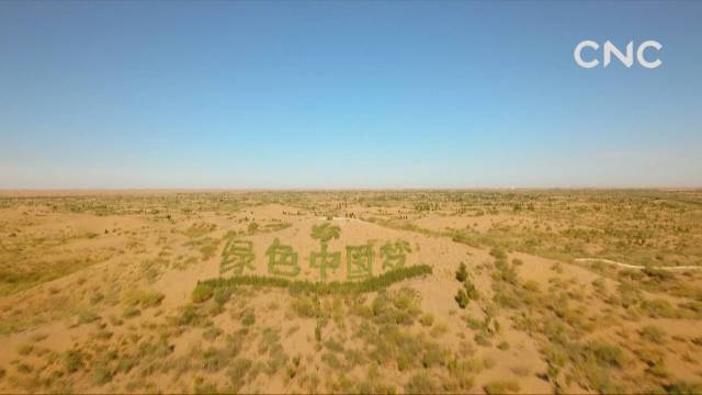 治沙“黑科技”