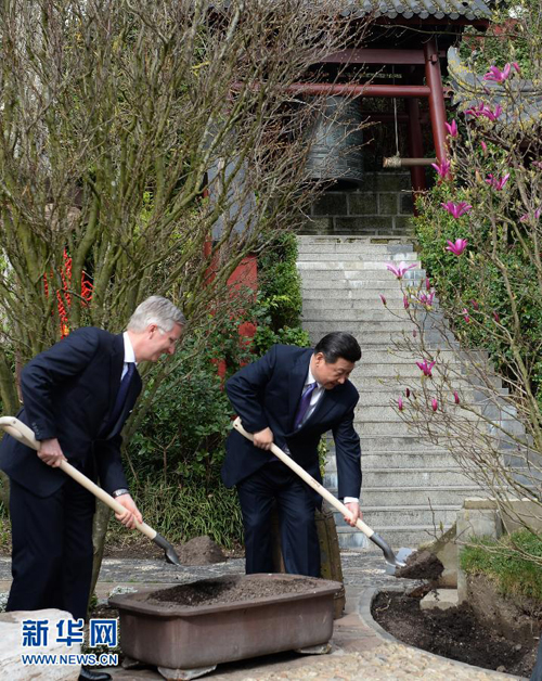 习主席种下的友谊树