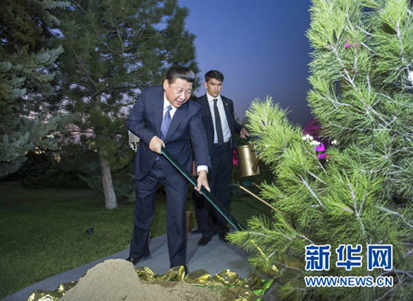 习主席种下的友谊树