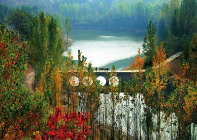 【豫见国际-图片】【 移动端-焦点图】禹州：留住了乡愁 迎来了幸福