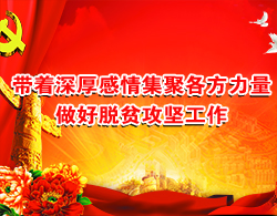 图片默认标题