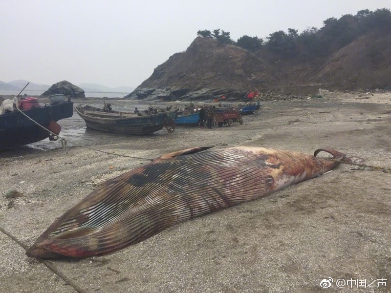 图片默认标题