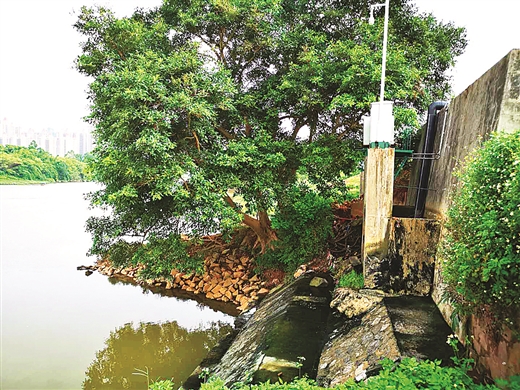 钦州：让“母亲河”水清岸绿 ——钦江综合治理调查