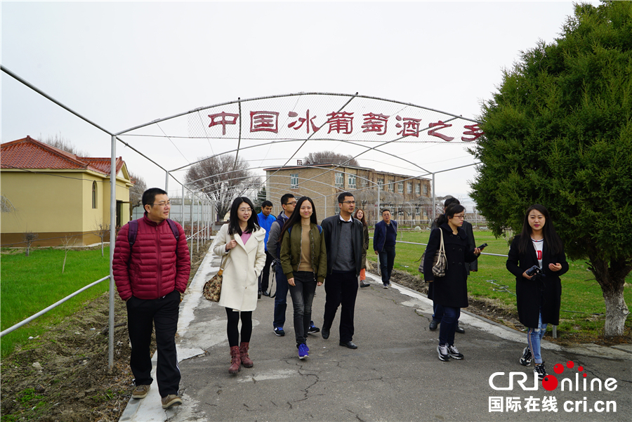 图片默认标题