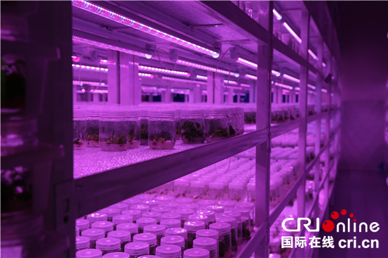 图片默认标题