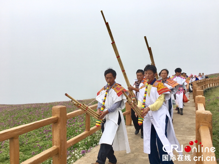 （已过审、移动版大图、客户端贵州大图）贵州毕节赫章“花期旅游”带来“美丽经济”