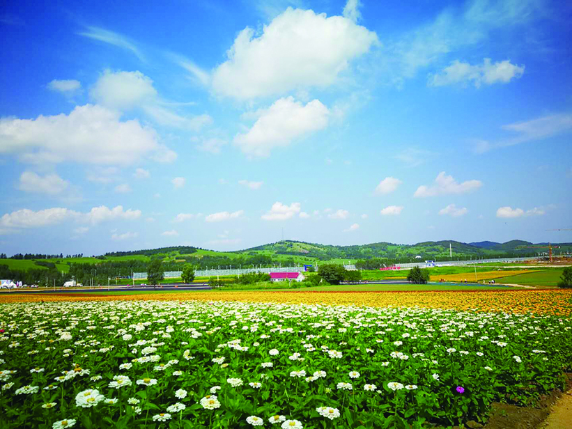 采摘游 徒步游 赏花游 9月长春游不停