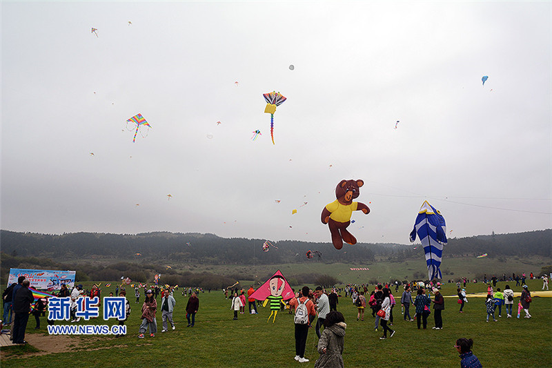 图片默认标题