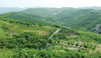 【豫见国际-图片】【 移动端-焦点图】昔日荒坡披绿装美丽焦作看北山