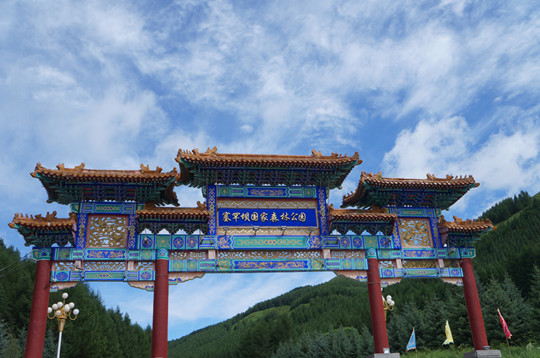 图片默认标题