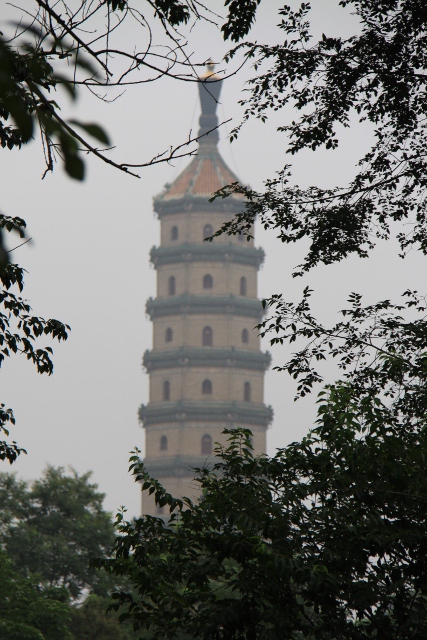 图片默认标题