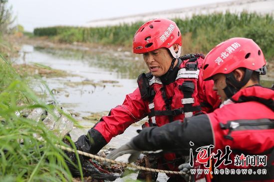 图片默认标题_fororder_你爸爸