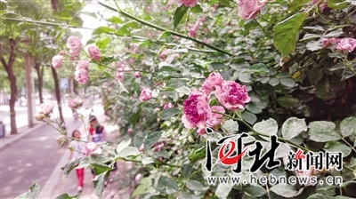 图片默认标题