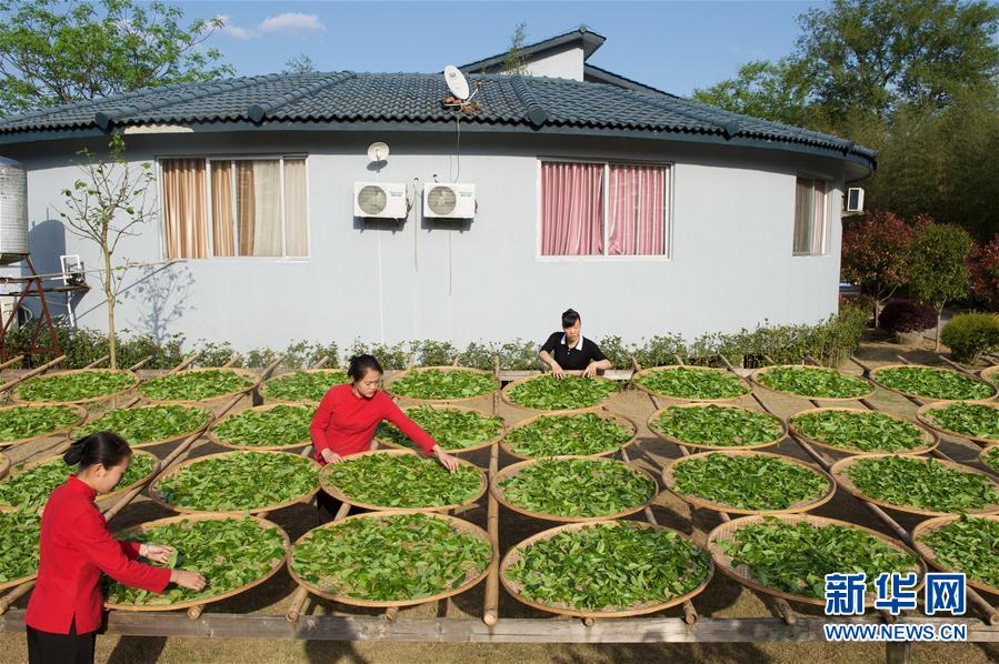 一带一路好买卖