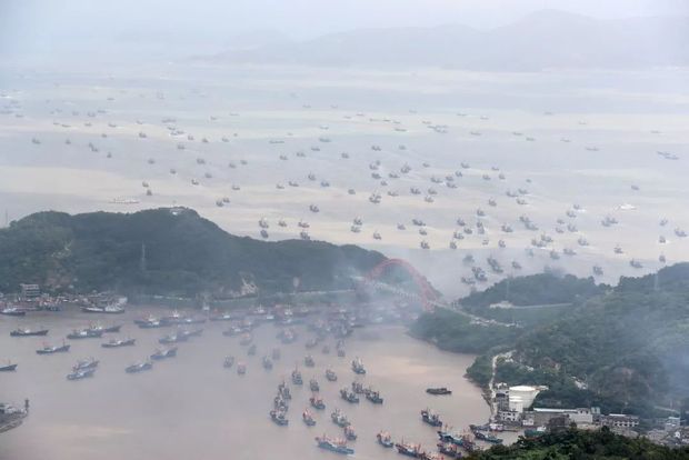 今天，礼赞丰收，致敬父老乡亲