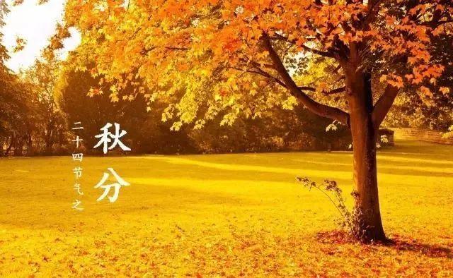 秋分至，这些事你得知道！