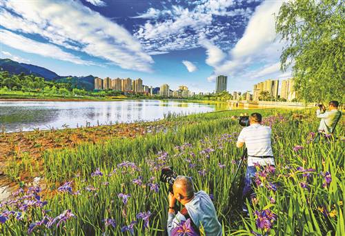 [治国理政新实践重庆篇]建设生态文明 坚持绿色发展