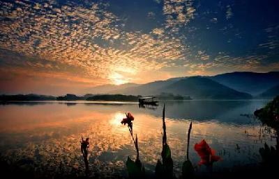 【行游巴渝图文】重庆各地招牌美景 哪个你最爱?
