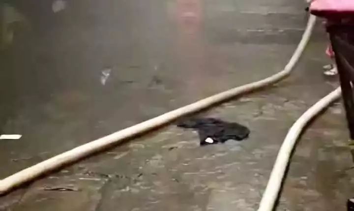 赤膊小哥单枪匹马hold住火灾现场！却被老妈“嫌弃”