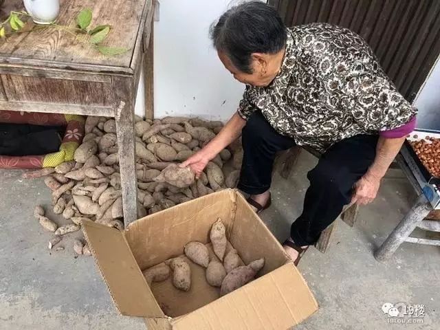 国庆返程网友晒后备箱：感觉妈妈把整块田搬来了