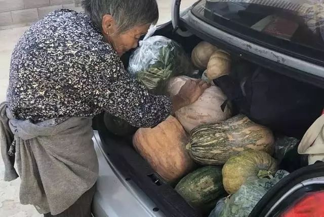 国庆返程网友晒后备箱：感觉妈妈把整块田搬来了